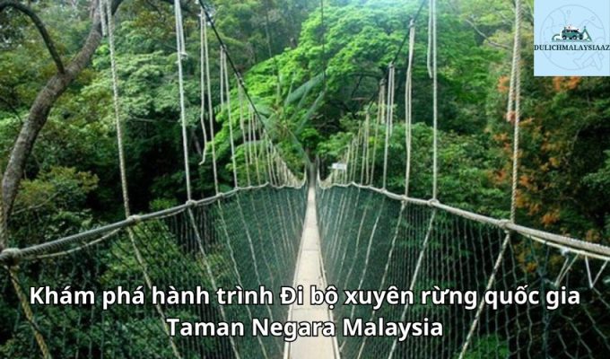 Khám phá hành trình Đi bộ xuyên rừng quốc gia Taman Negara Malaysia