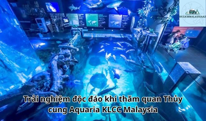 Trải nghiệm độc đáo khi thăm quan Thủy cung Aquaria KLCC Malaysia